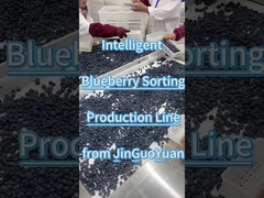 JGY'den Yabanmersini Ayıklama Hattı