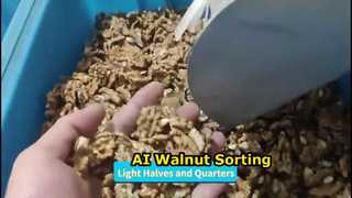 Yüksek Verimli Ceviz Çekirdeği Ayırıcı-Tek geçişte çoklu kaliteler